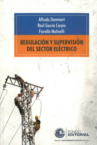 Regulacion y supervision del sector electrico