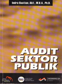 Audit sektor publik